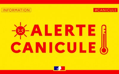 VIGILANCE CANICULE: Numéro utile